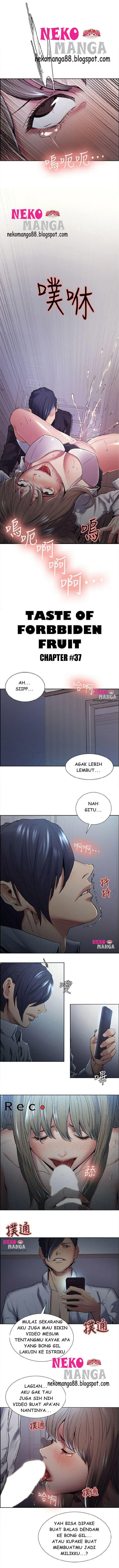Taste of Forbidden Fruit - Chapter 37 1