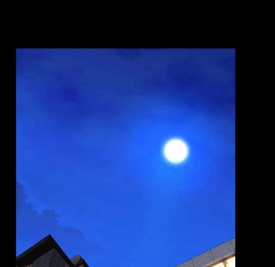 Her Toy Shop - Chapter 2 19